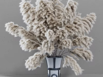 Pampas Grass Flowers in Black and White Geometric Vase for Home Decor 3d model