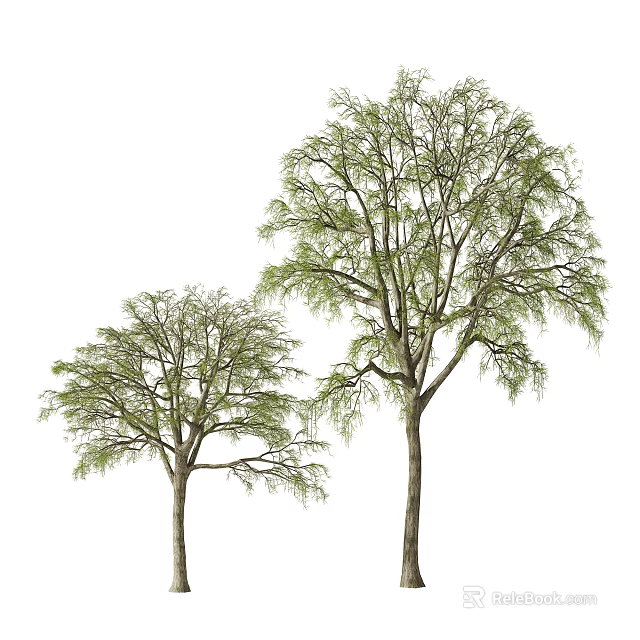 Tall and Short Arbor Trees Featuring Green Leaves and Strong Trunks 3d model 