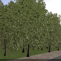 Modern Residential Buildings With Green Surroundings And Well Planned Community Layout