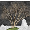 Bare Arbor in Landscape with Gray Background White Rock Formations Green Grass and White Pebbles