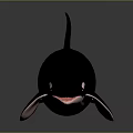 Black and White Orca Marine Animal Swimming Gracefully in Ocean Waters