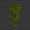 Three Fresh Green Hanging Plants on White Background With Clear Reflections