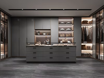 Modern Walk in Closet Design With Dark Gray Cabinets Glass Doors And Hanging Storage 3d model