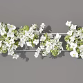 Elegant Floral Display With White Flowers And Green Plants On Metal Rack