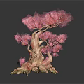 Two Unique Plants with Twisted Trunks Pink Red Flowers Exposed Roots on Black Background Reflections
