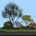 Arbor Centered Garden Landscape With Colorful Trees Shrubs Grass And Wooden Floor