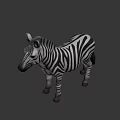Realistic Standing Zebra Model With Detailed Black White Stripes And Lifelike Features