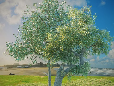 Tall Tree With Lush Green Leaves Under Blue Sky Clouds Near Grass Field And Beach 3d model