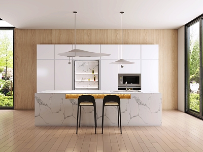 Modern open kitchen model