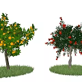 Two Ornamental Trees With Yellow Fruits Red Flowers And Green Grass Base