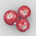 Modern Cranberry Fruit Food 3d model