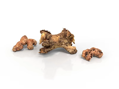 Natural Fresh Raw Ginger Roots Arranged on Clean White Background 3d model