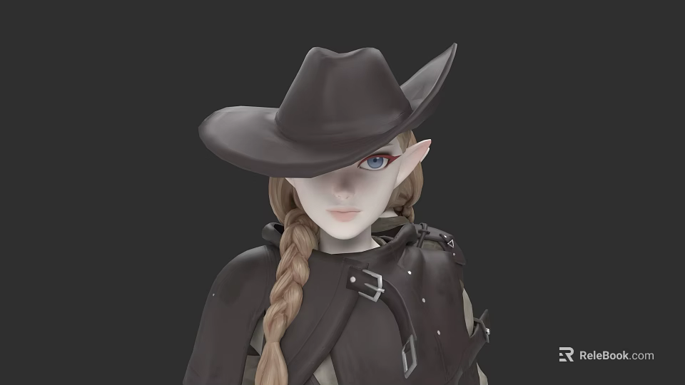 Fantasy Game Movie Character with Long Braided Hair Wide Brimmed Hat Elf Ears Dark Coat 3d model 