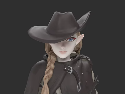 Fantasy Game Movie Character with Long Braided Hair Wide Brimmed Hat Elf Ears Dark Coat 3d model