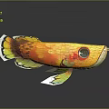 Colorful Artistic Fish With Vibrant Colors Large Eye Fins Tail And Dark Background Reflection