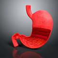 Realistic 3D Stomach Model with Detailed Anatomical Internal Structure View 3d model