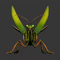 modern mantis sabros winged insect 3d model