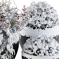 Snow Covered Bonsai Potted Plants With Red Berries In Black Ceramic Pots