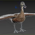 Aquatic Duck With Brown Spotted Feathers Blue Feet And Spread Wings Standing On Grass