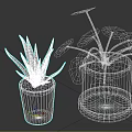 Green Potted Plants Aloe Vera And Chinese Money Plant In Gray Concrete And Black Pots