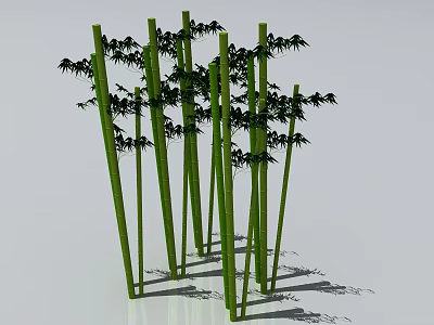 Multiple Green Bamboo Stalks With Lush Leaves And Natural Shadows 3d model