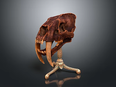 Prehistoric Animal Skull Display On Golden Three Legged Stand With Long Brown Fangs 3d model