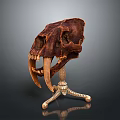 Prehistoric Animal Skull Display On Golden Three Legged Stand With Long Brown Fangs