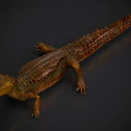 Realistic Brown Crocodile Reptile Model With Detailed Skin On Dark Background