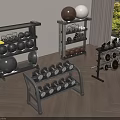 Home Gym Equipment Setup With Dumbbell Racks Fitness Balls And Weight Plates