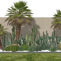 Nordic wind plant combination plant heap cactus palm tree 3d model