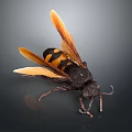 3D Rendered Wasp With Black And Yellow Stripes And Orange Wings On Gray Background
