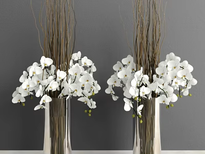 White Orchid Flowers in Metallic Vases with Brown Branches Against Grey Wall 3d model