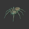 Realistic Brown Spotted Spider With Long Legs On Dark Shiny Background