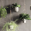 Hanging Green Plants With Trailing Foliage In Minimalist Pots For Indoor Wall Decor