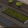 Green Moss Arrangement In Rectangular Container And Round Bowls On Wooden Table
