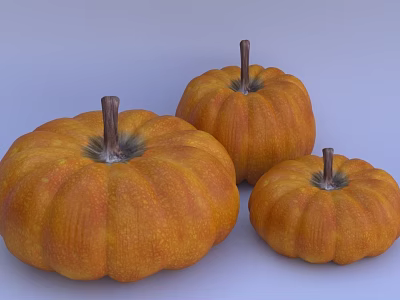 Fresh Orange Pumpkins in Various Sizes Displayed on Light Background 3d model