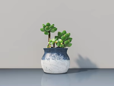 Succulent Bonsai Plant in Blue White Gradient Ceramic Pot on Gray Table with Wall Background 3d model