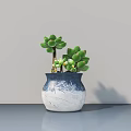 Succulent Bonsai Plant in Blue White Gradient Ceramic Pot on Gray Table with Wall Background