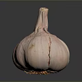 Natural Whole Garlic Bulb With Fresh Pink And White Skin Texture On Dark Surface