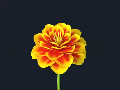 Vibrant Yellow and Red Layered Flower with Green Stem on Dark Background 3d model