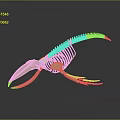 Anatomical Organ Structure of Aquatic Animal Skeleton with Light Color and Dark Background Reflection