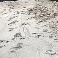 Microtopography Terrain Features With Surface Ridges Small Depressions And Natural Patterns