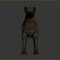Spotted Hyena Standing in Side View With Brown Fur Blood on Mouth and Gray Background