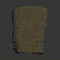 Wooden Stone Block With Natural Green Moss Covered Surface Durable Material