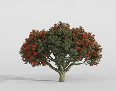 Lush Tree With Green Leaves And Beautiful Red Flowers In Full Bloom 3d model
