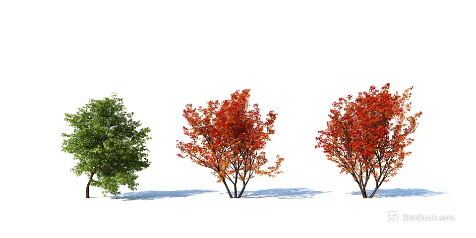 Vibrant Garden Shrubs Displaying Green and Red Foliage in Outdoor Landscape Design 3d model 