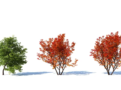 Vibrant Garden Shrubs Displaying Green and Red Foliage in Outdoor Landscape Design 3d model