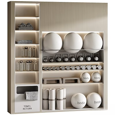 Organized Sports Equipment Storage Shelves For Home Gym With Dumbbells And Fitness Balls 3d model