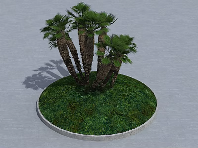 Lush Palm Trees Growing On Circular Platform With Green Grass 3d model