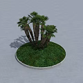 Lush Palm Trees Growing On Circular Platform With Green Grass